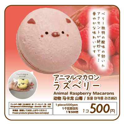 表示パネル ラズベリー